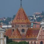 DSC_0135 (2)