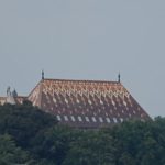 DSC_0141 (2)
